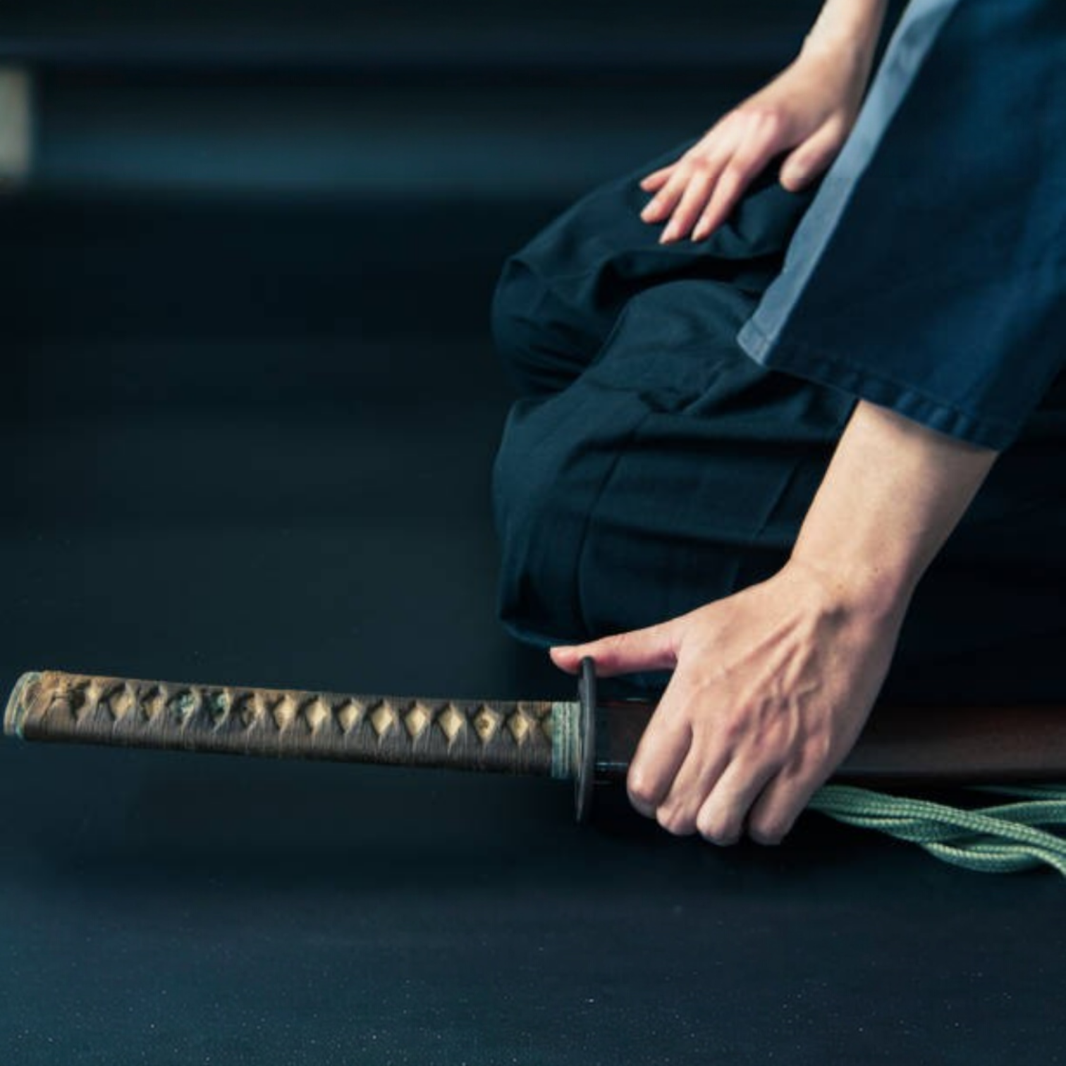 Schwert und Geist als Eins — 剣禅一如 (Ken Zen Ichinyo)